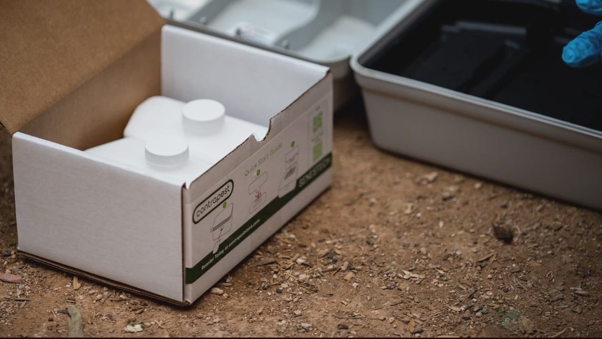 Rat birth control - Contrapest offers plant based contraceptive option